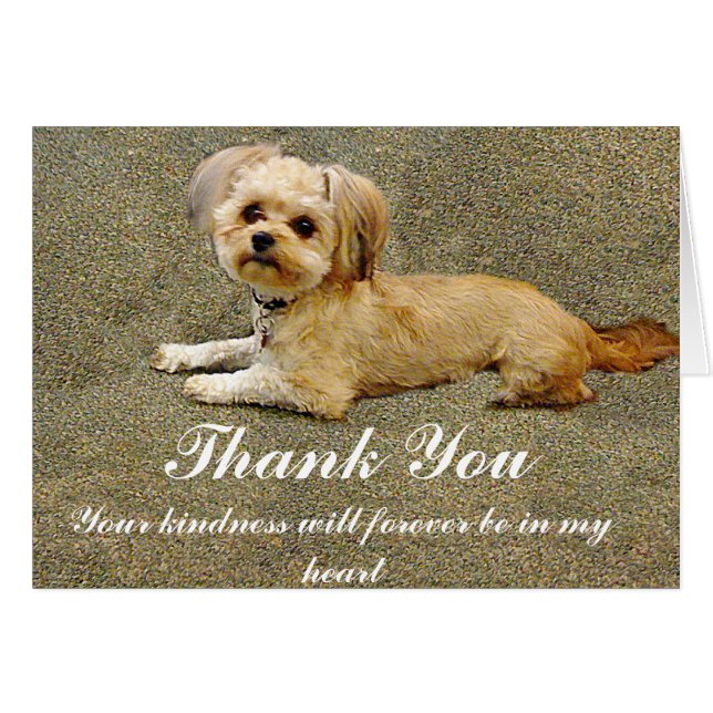 Mon Copain_ (Devant Horizontal)