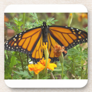 Mon dessous de verre Monarque papillon-liège