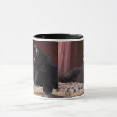 Mon garçon, Charlie Mug (Centre)
