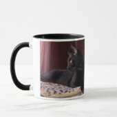 Mon garçon, Charlie Mug (Gauche)