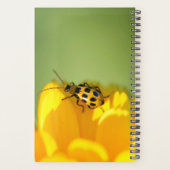 Mon gestionnaire de journaux (Dos)