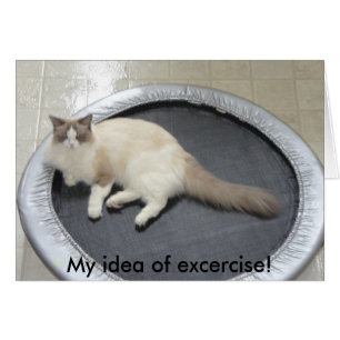 Mon idée d'excercise !