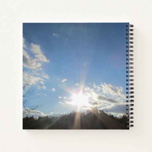 Mon Journal Godwink (Dos)