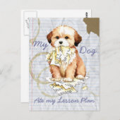 Mon Lhasa Apso a mangé ma carte postale de plan de (Devant / Derrière)