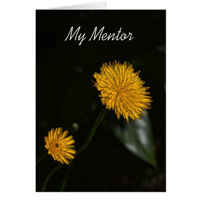 Mon mentor (Devant)