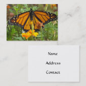 Mon papillon Monarque cartes de visite (Devant / Derrière)