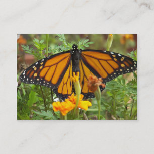 Mon papillon Monarque cartes de visite