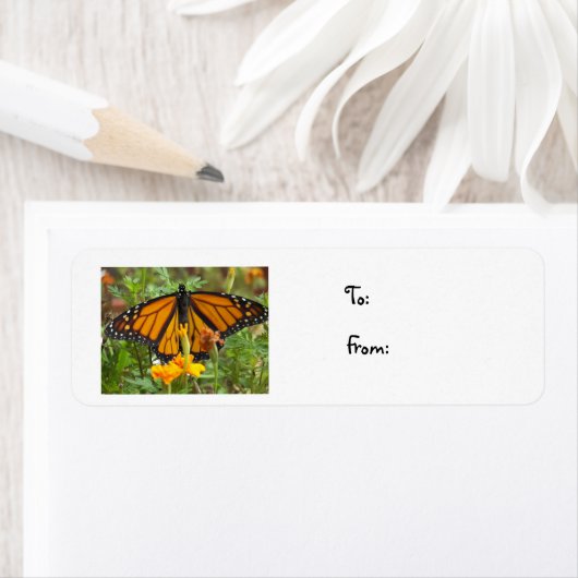 Mon papillon Monarque étiquette de noël (En situation)
