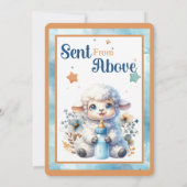 Mon Petite Invitation D'Agneau (Dos)