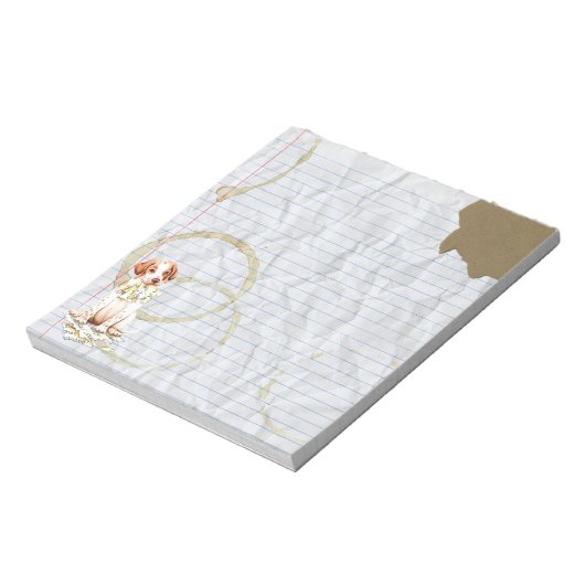 Mon Pointeur Met Mon Bloc-notes de plan de leçon (Tourné)