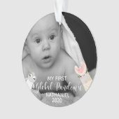 Mon premier bébé pandémique mondial 2020 Photo Ani (devant)