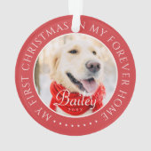 Mon premier Noël pour toujours Accueil Moderne Pho (dos)