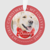 Mon premier Noël pour toujours Accueil Moderne Pho (devant)