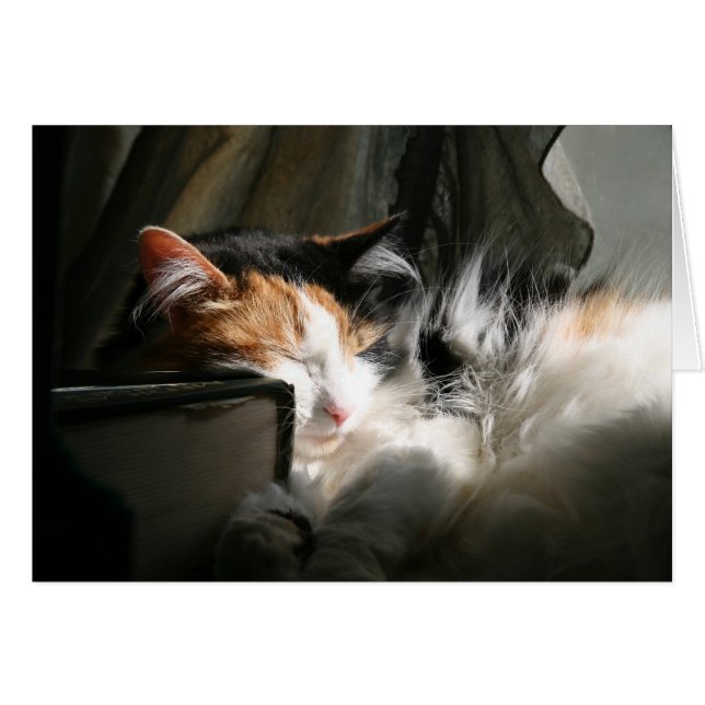 Mon rayon de soleil (Devant horizontal)