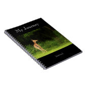 Mon voyage - journal (Côté Droit)