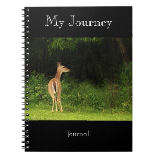 Mon voyage - journal (Devant)