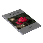 Mon voyage - journal (Côté Droit)