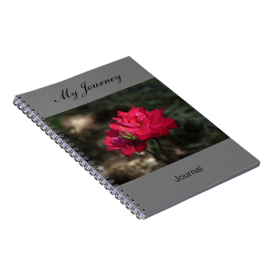 Mon voyage - journal (Côté Droit)