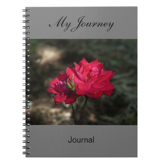 Mon voyage - journal (Devant)