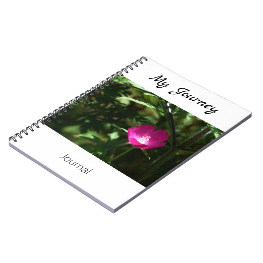 Mon voyage - journal (Côté gauche)