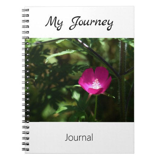 Mon voyage - journal (Devant)