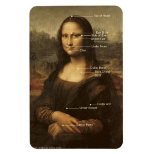 Mona Lisa EFT Tapping Points 4"x6" flexibele magne Magneet