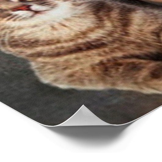 Mona Lisa en haar kat Poster (Hoek)