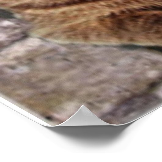 Mona Lisa en haar kat Poster (Hoek)