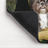 Mona Lisa - Shih Tzu (M) Muismat (Hoek)