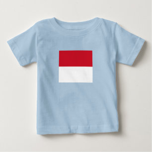 Monaco Flag