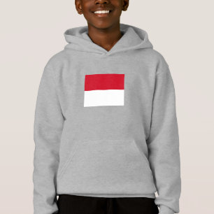 Monaco Flag