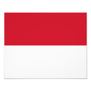 Monaco Flag Foto Afdruk