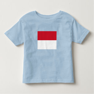 Monaco Flag Kinder Shirts