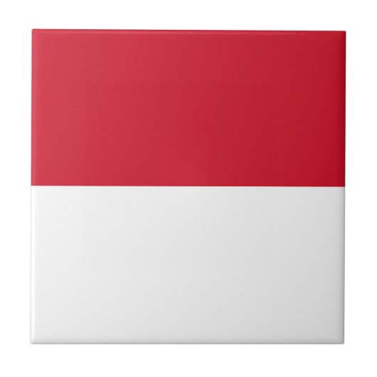 Monacovlag Tegeltje (Voorkant)