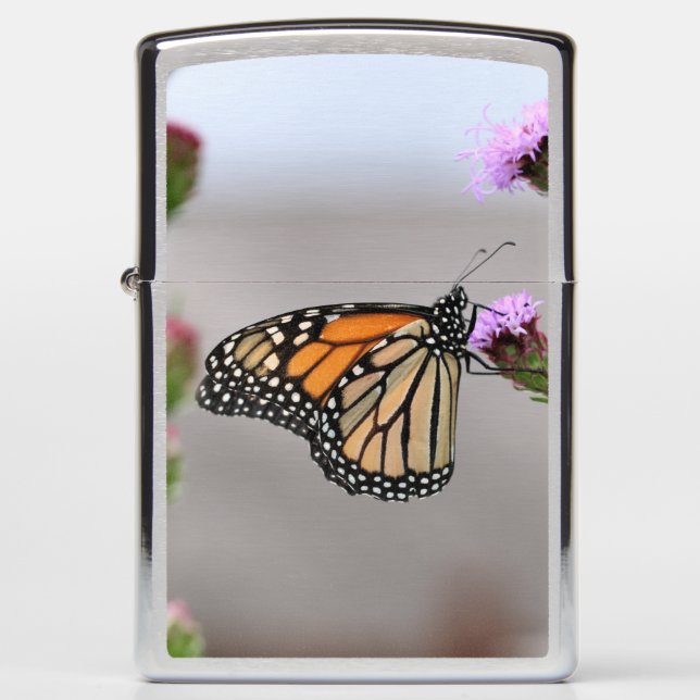 Monarch (Voorkant)