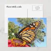 Monarch 38 ~ carte postale (Devant / Derrière)