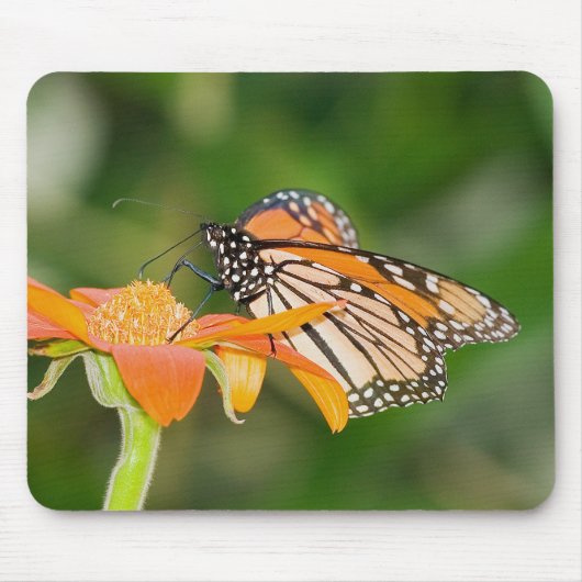 Monarch 3 Mousepad Muismat (Voorkant)
