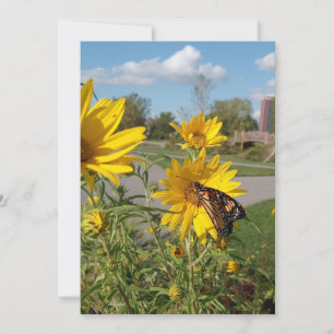 Monarch bij Wilkeson Pointe Park Kaart