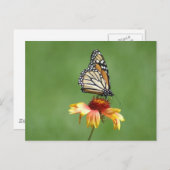 Monarch Briefkaart (Voorkant / Achterkant)