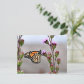 Monarch Briefkaart (Staand voorkant)