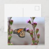 Monarch Briefkaart (Voorkant / Achterkant)
