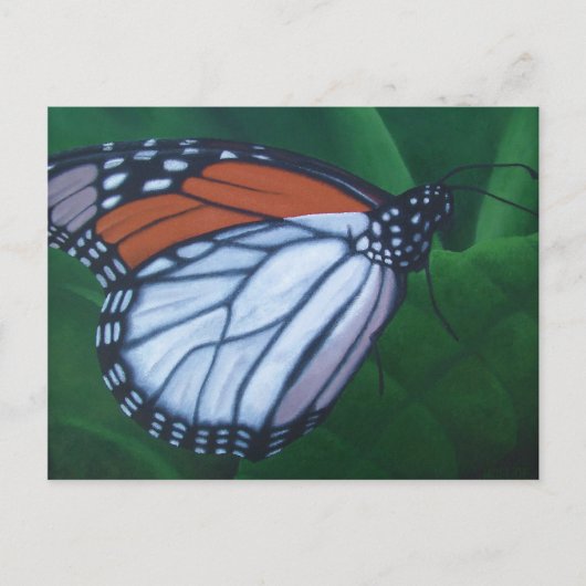 Monarch Briefkaart (Voorkant)