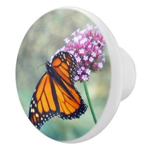 MONARCH BUTTERFLES OP DE STROOM KERAMISCHE KNOP