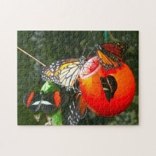 Monarch Butterflies Canada. Legpuzzel