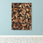 Monarch Butterflies Canvas Afdruk (Insitu (Houten vloer))