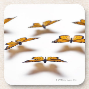 Monarch Butterflies Drankjes Onderzetter