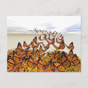 Monarch Butterflies Gather Briefkaart