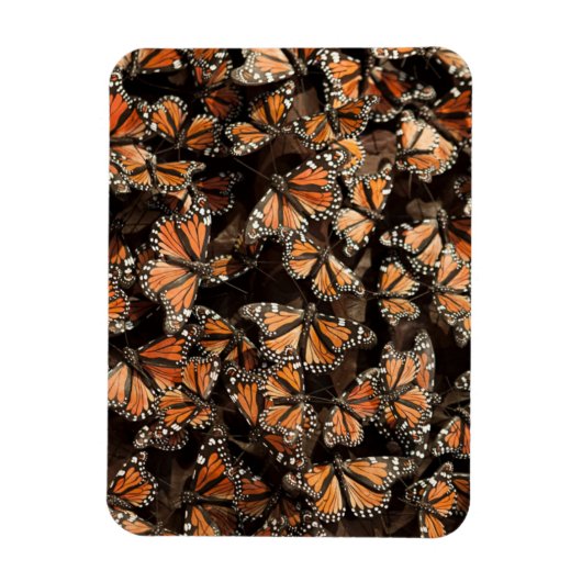 Monarch Butterflies Magneet (Verticaal)