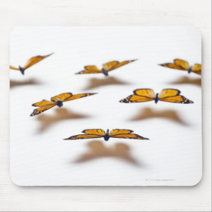 Monarch Butterflies Muismat