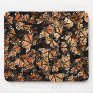 Monarch Butterflies Muismat